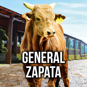 BannerRevoluzion1080x108018
