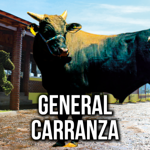 BannerRevoluzion1080x108020
